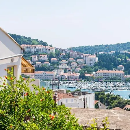 Ines Dubrovnik